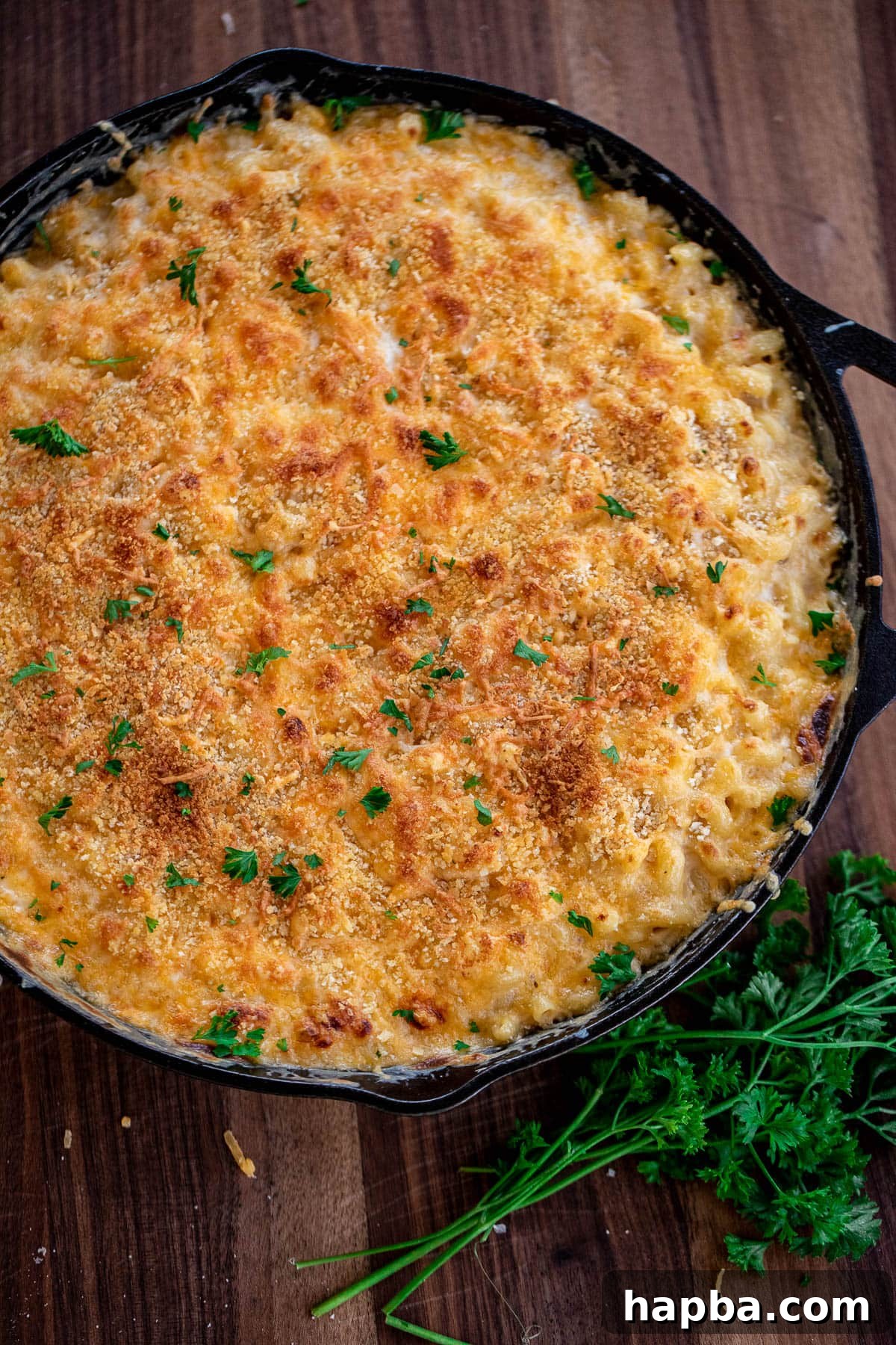 Creamy Triple Cheese Macaroni 9 3 Cheese Mac and Cheese Garnished with fresh parsley