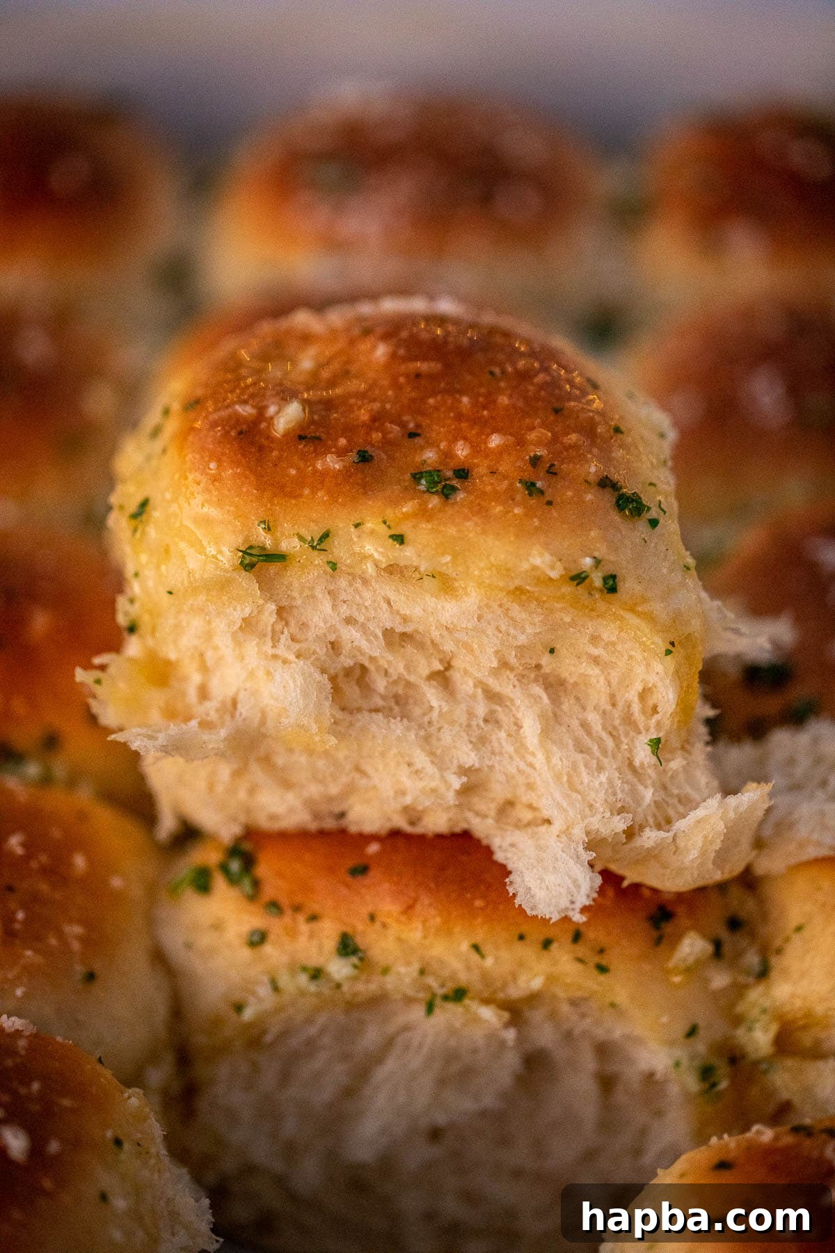 A close-up of a torn dinner roll, showcasing its soft, fluffy, and airy interior texture.