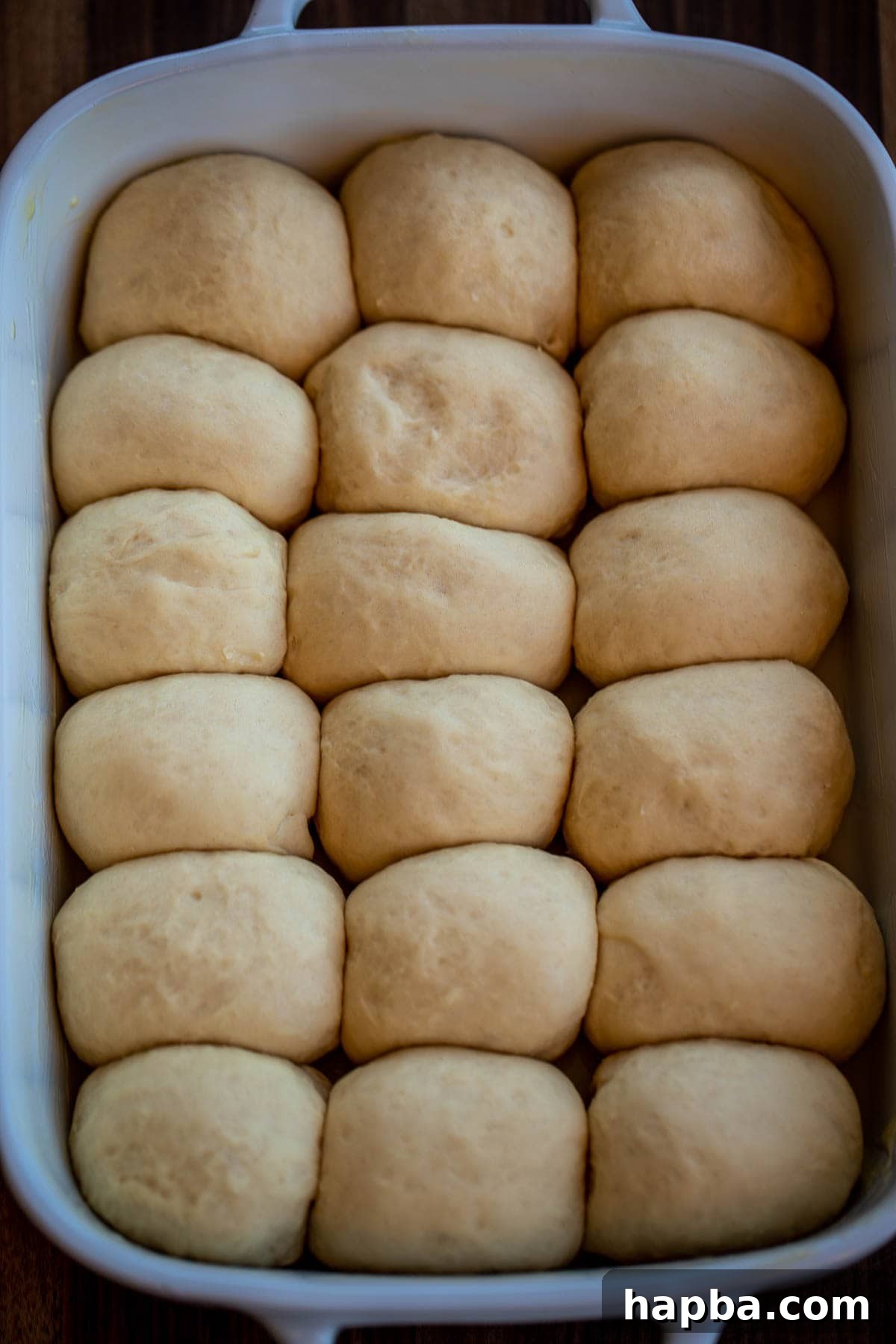 Risen dinner rolls, now doubled in size, filling the baking dish.