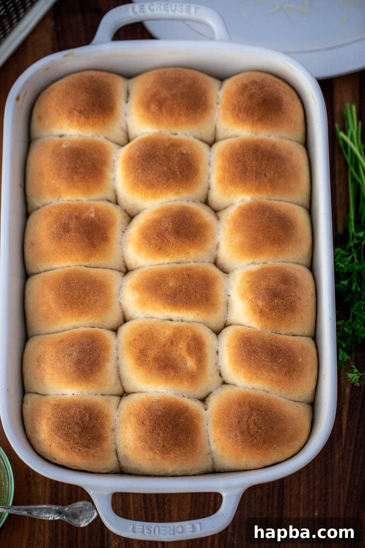 Baked golden-brown rolls, still in the baking dish, just out of the oven.