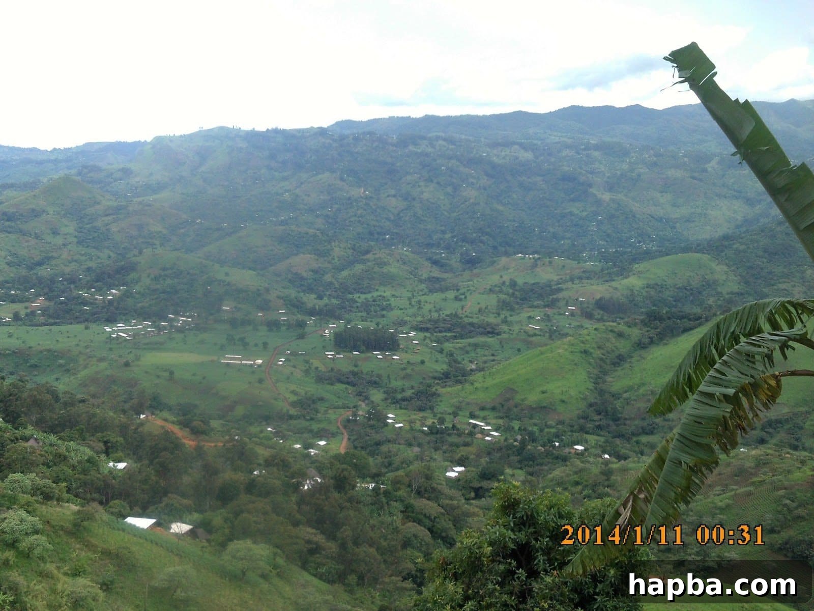 Lush green landscape and hills in Cameroon