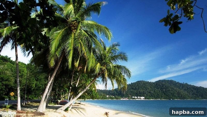 Serene Limbe beach with palm trees and calm waters in Cameroon