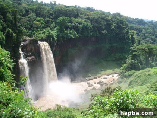 Panoramic view of a lush green valley and rolling hills in Cameroon