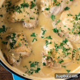 Succulent chicken pieces bathed in a creamy white sauce, served in a rustic cast iron braiser.