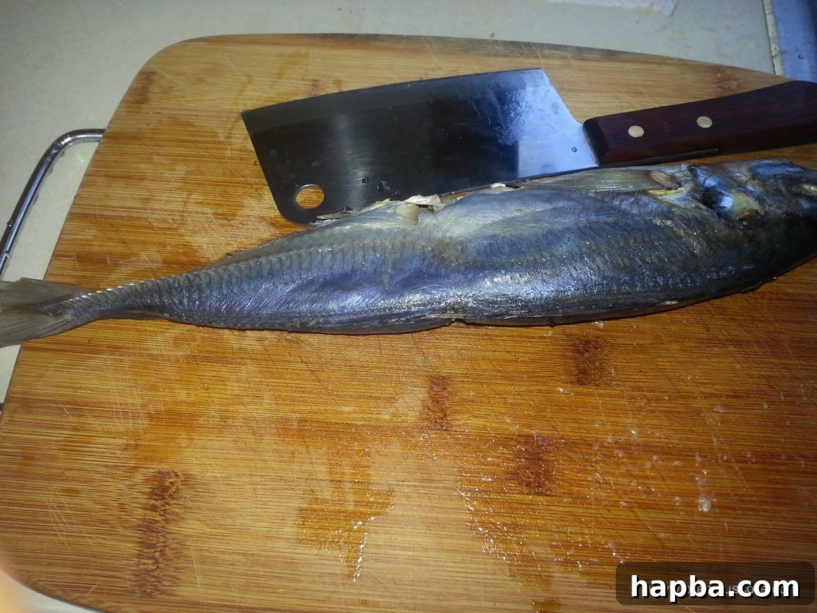 Yellow Tail Mackerel, also known as Morocco Fish, for drying