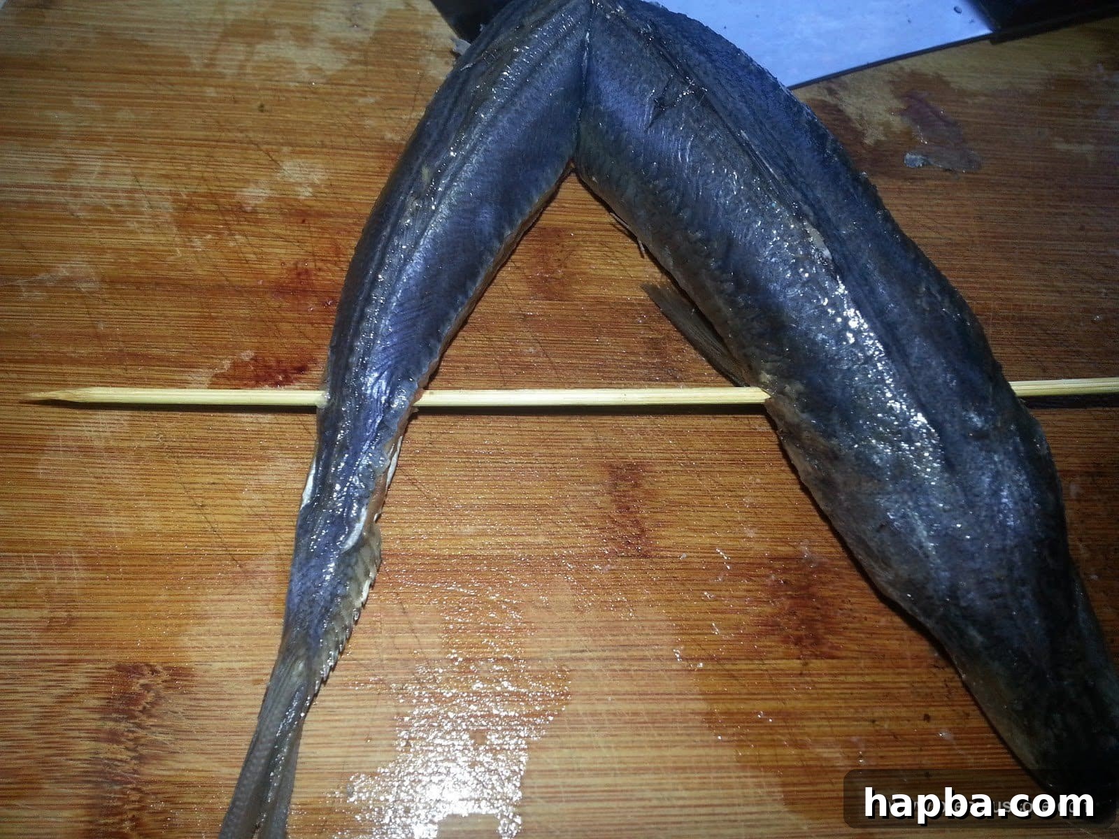 Fish rubbed with a pinch of salt and pierced with a bamboo skewer