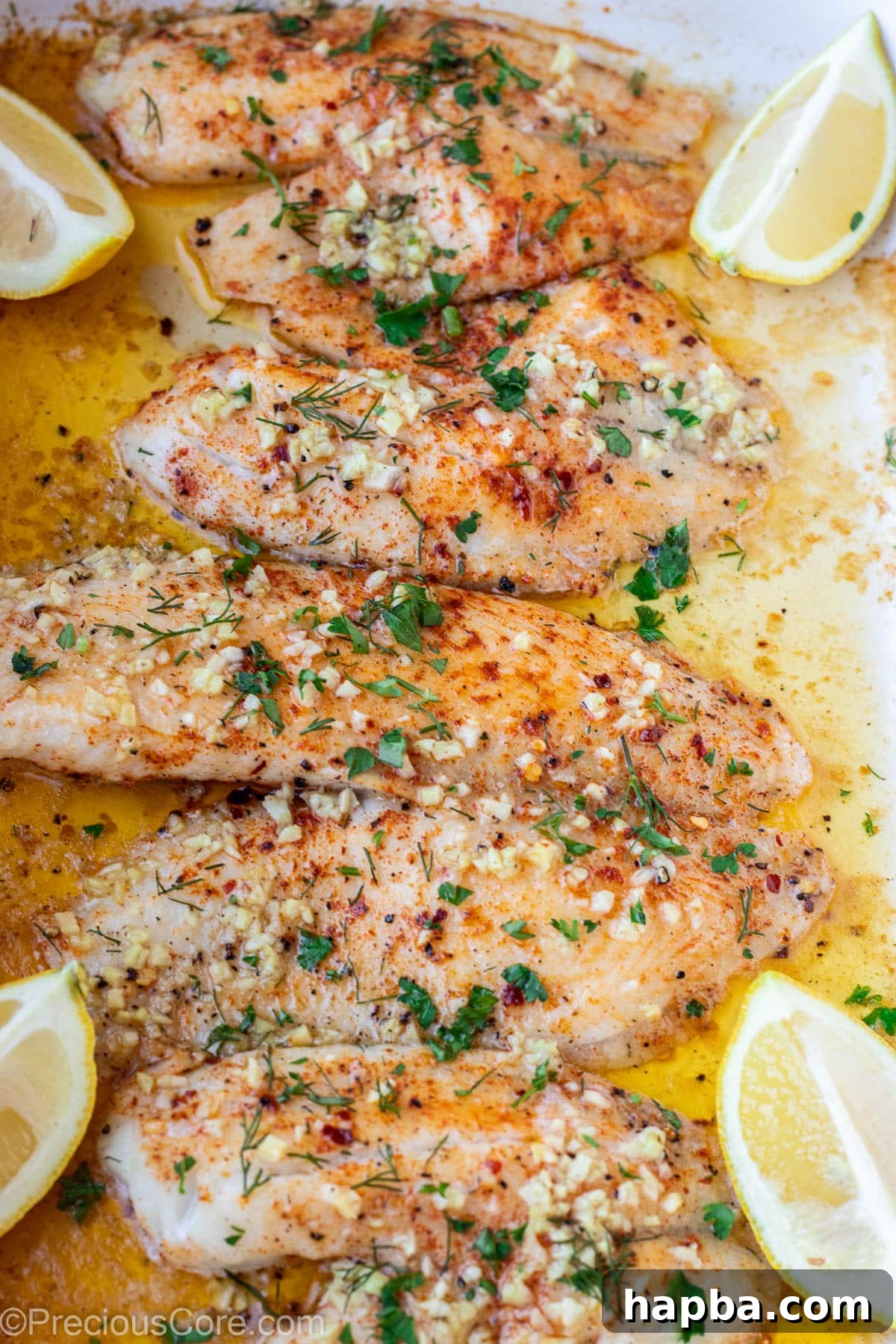 Four beautifully baked tilapia fillets arranged in a pan, ready to serve.