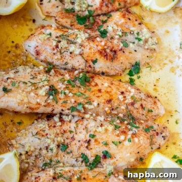 Four baked tilapia fillets glistening in a pan, ready to be served.