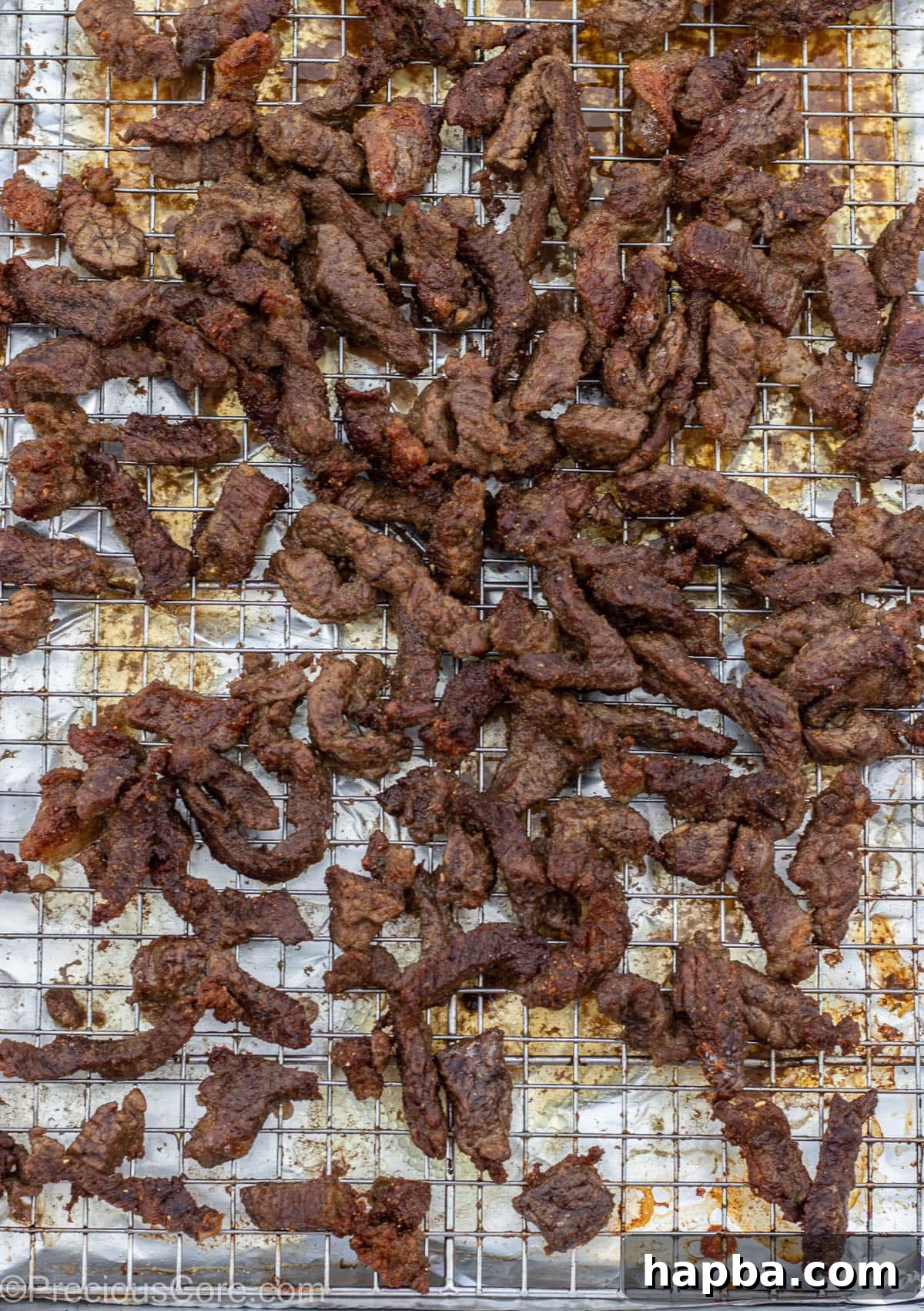 Cameroonian Soya Morsels 8 Grilled Cameroonian soya on a baking sheet rack, fresh out of the oven and perfectly charred.