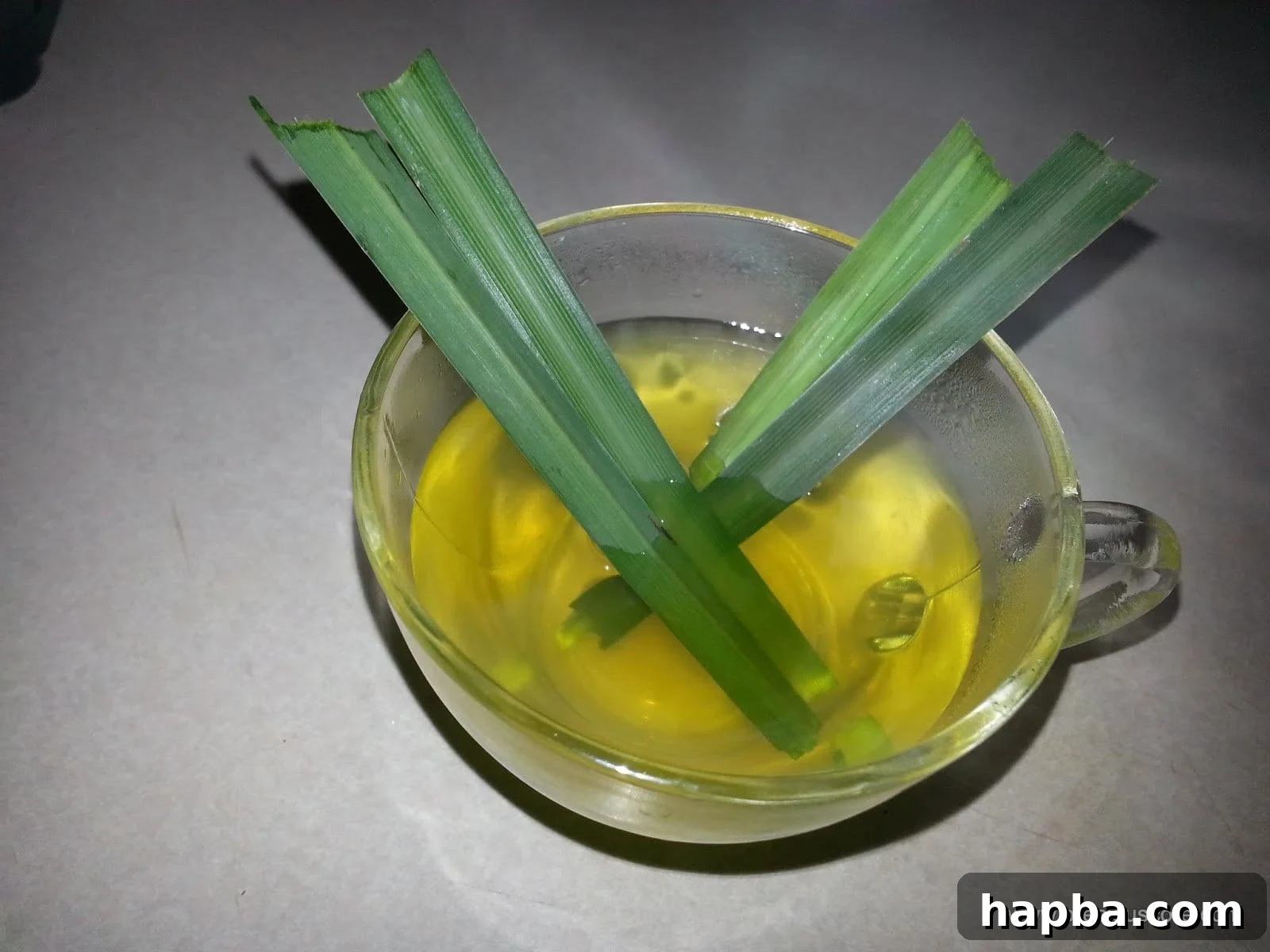 Fresh lemongrass stalks, neatly bundled and ready for brewing tea, highlighting their vibrant green color.