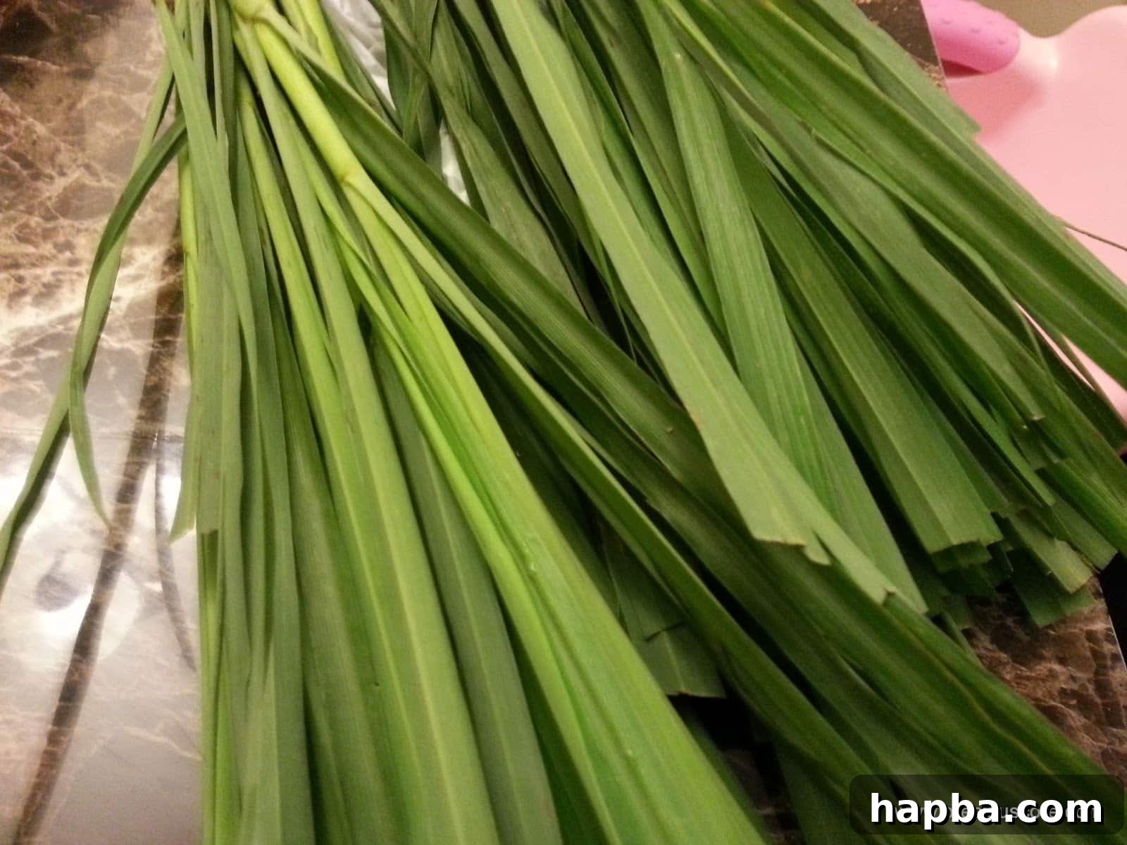 A close-up shot of several fresh lemongrass stalks artfully arranged on a cutting board, clearly labeled as 'Fever grass'.