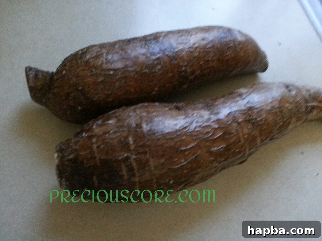 Fresh cassava root, also known as yuca, a key ingredient in traditional West African cuisine.