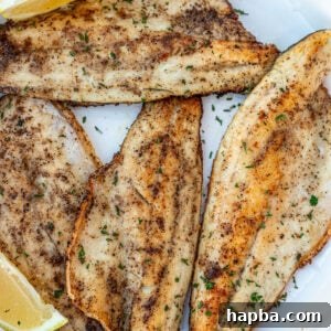 Pan Seared Sea Bass fillets on a white plate, garnished and ready to serve.