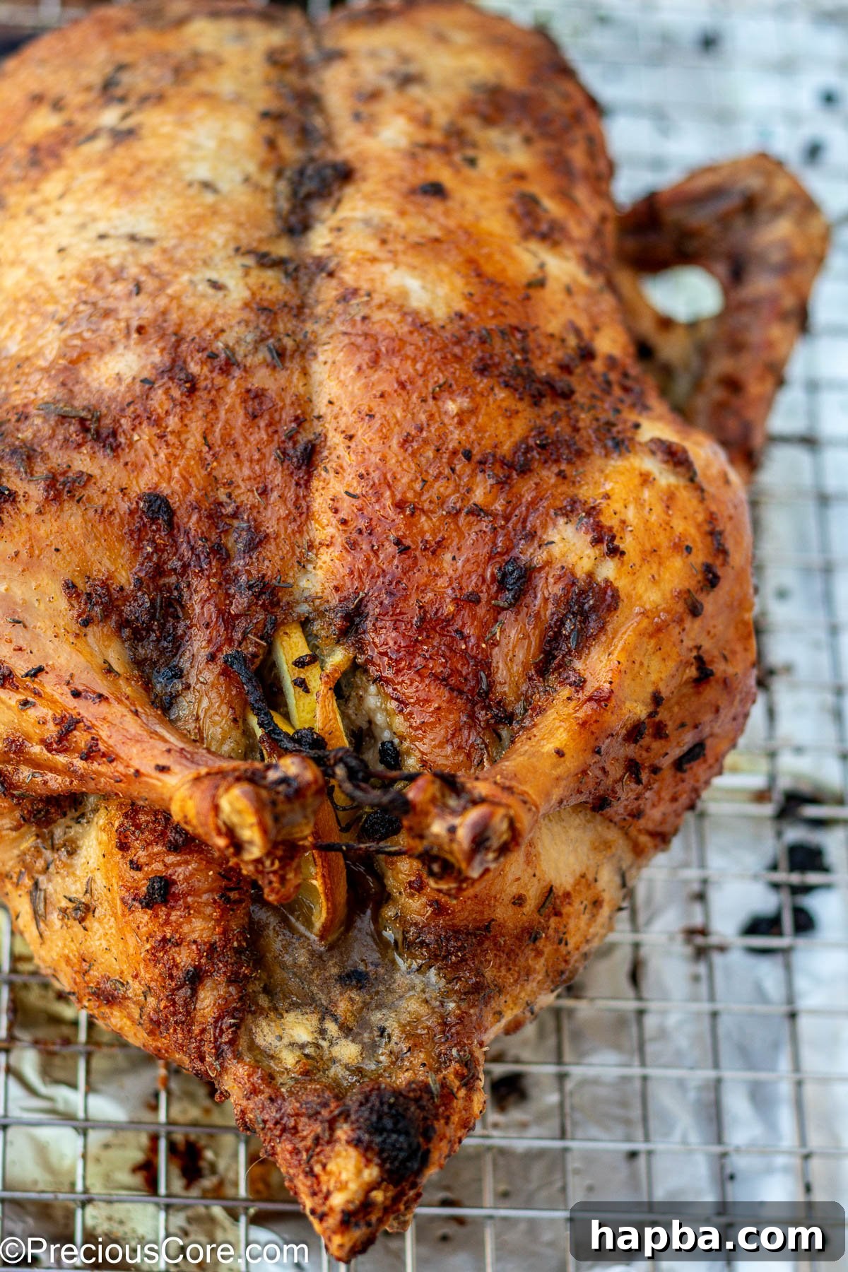 Up close shot of herb-roasted duck, golden brown with aromatic herbs.