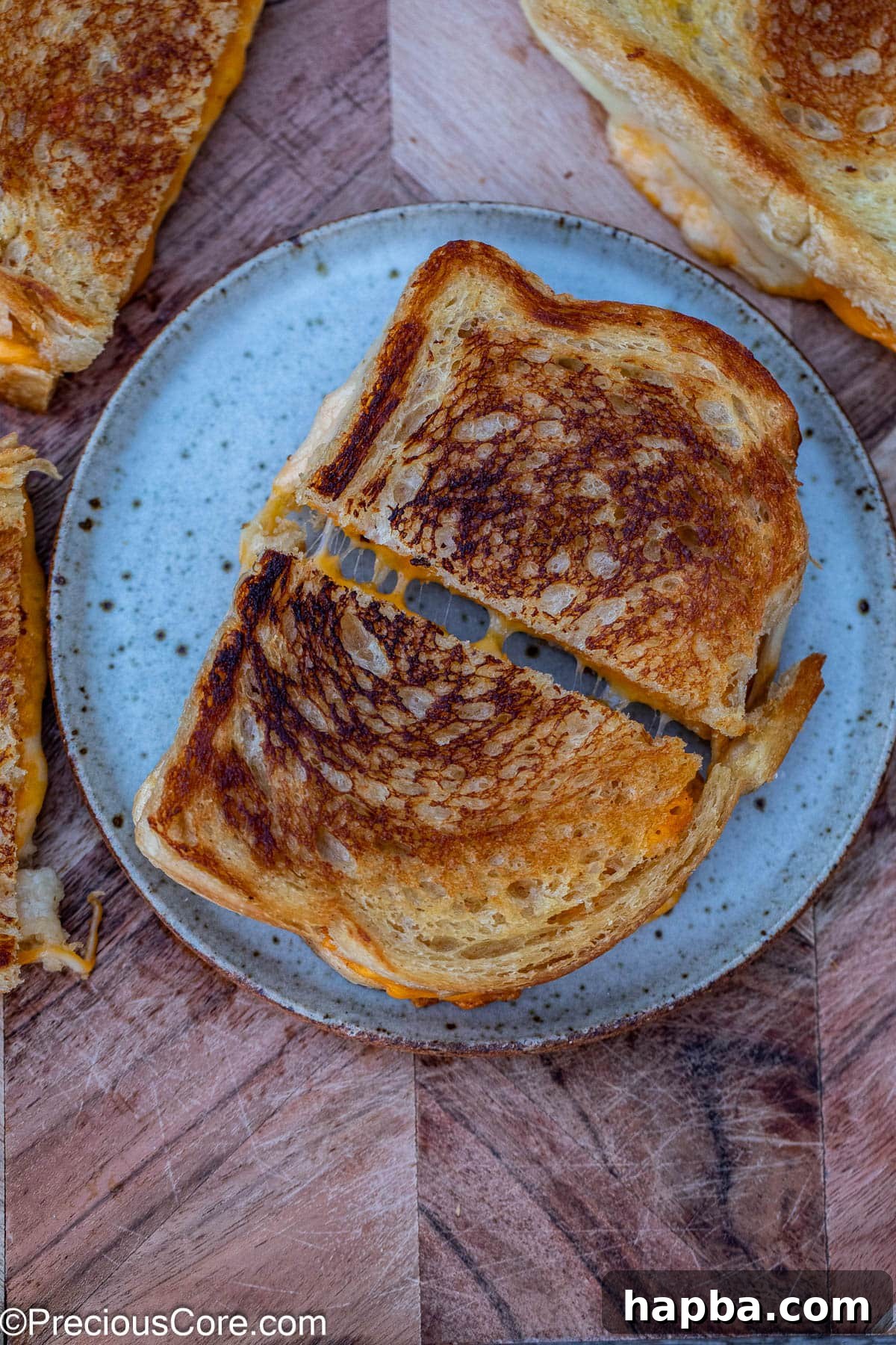 A perfectly cooked sourdough grilled cheese, cut in half and resting on a white plate, ready to be enjoyed.