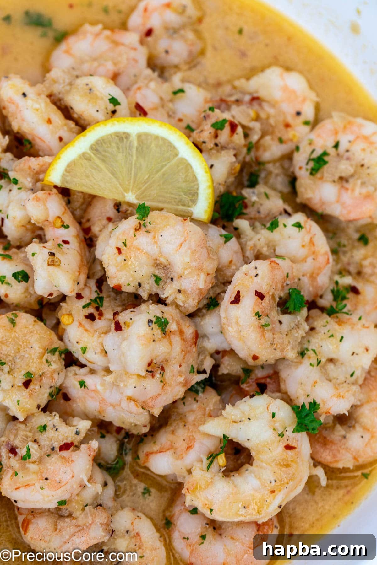Close-up shot of perfectly cooked shrimp in white wine sauce, garnished with a fresh lemon slice and herbs.