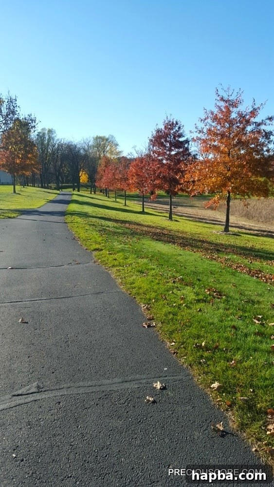 THINGS TO KNOW: 7 UPDATES 4 fall-trees