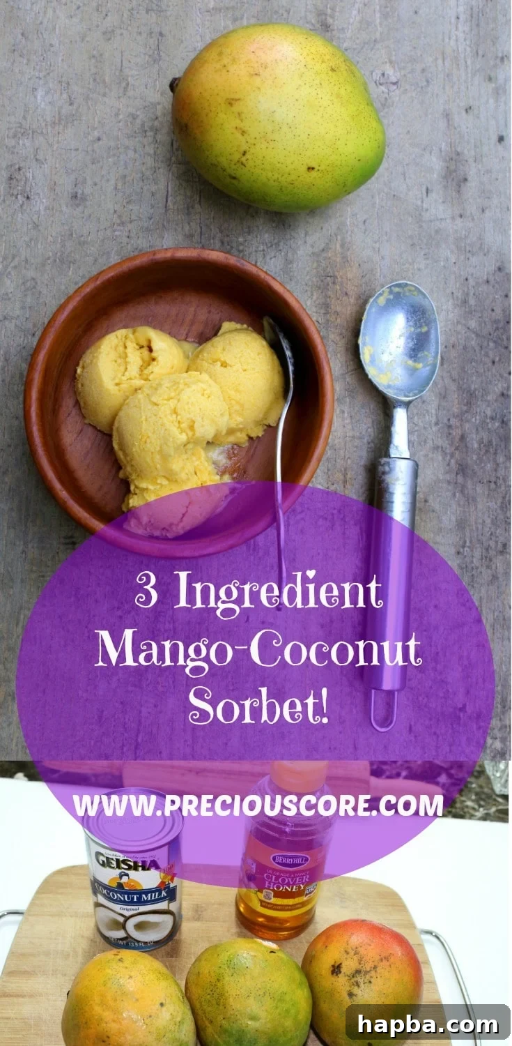 Close-up of perfectly scooped mango coconut sorbet in a bowl, garnished for serving