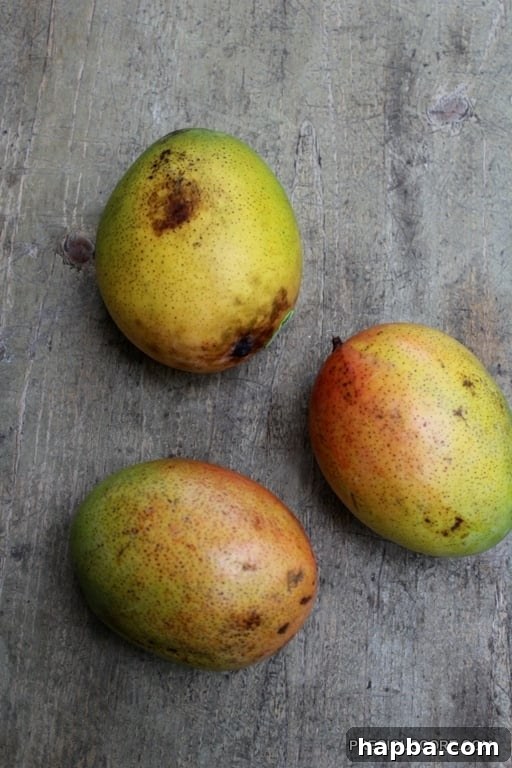 Close-up of freshly picked, ripe mangoes on a rustic surface
