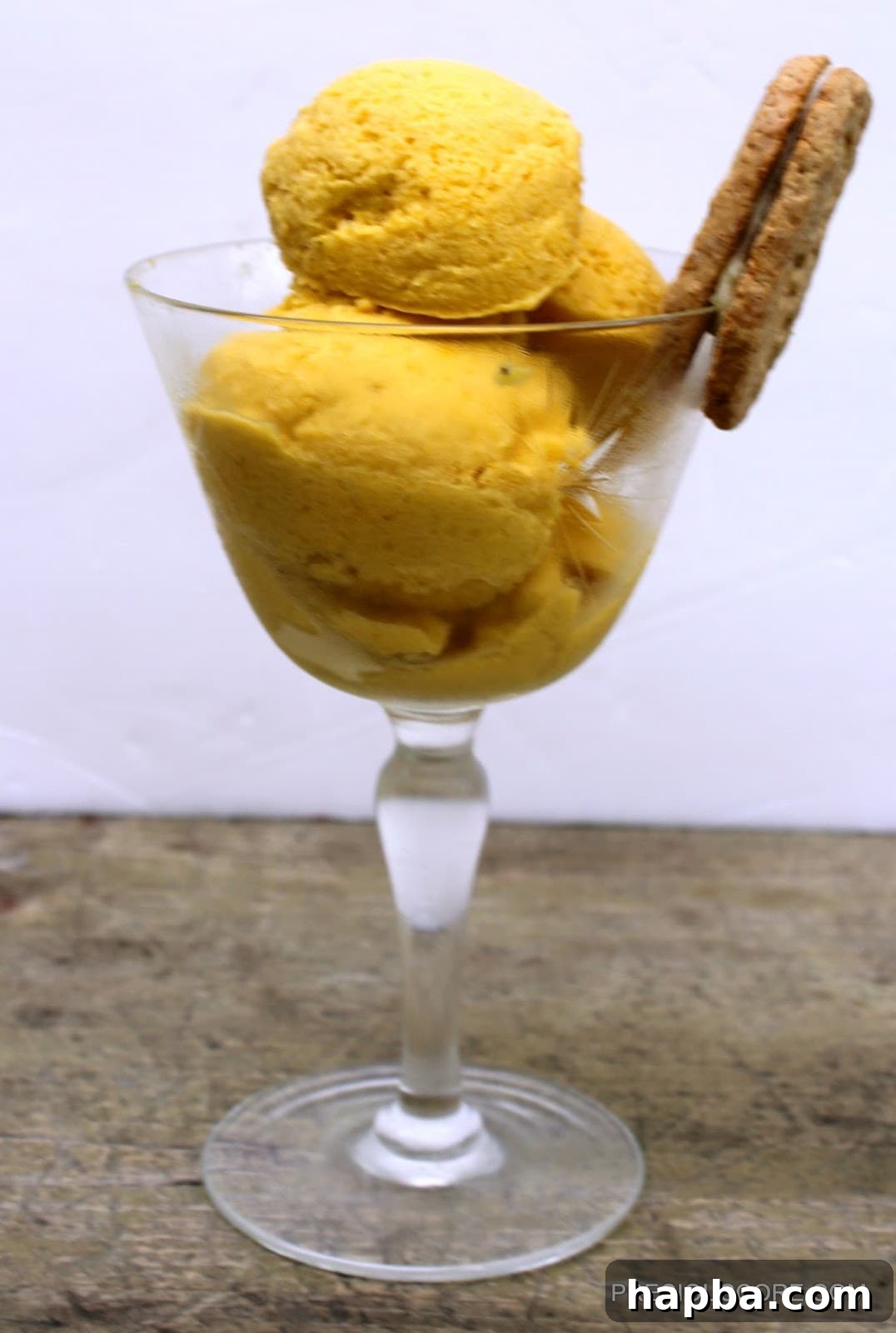 Ingredients for mango coconut sorbet including mangoes, honey, and a can of coconut milk
