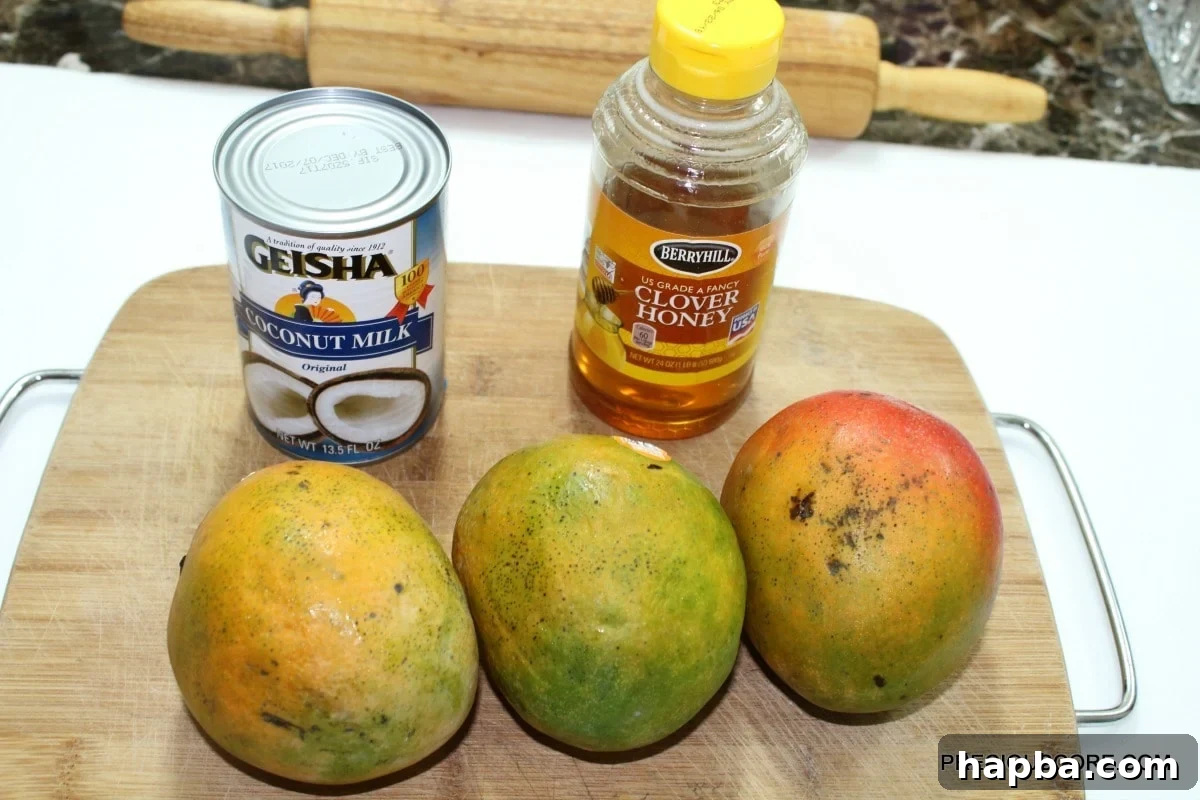Three key ingredients for mango coconut sorbet: a can of coconut milk, ripe mangoes, and a jar of honey