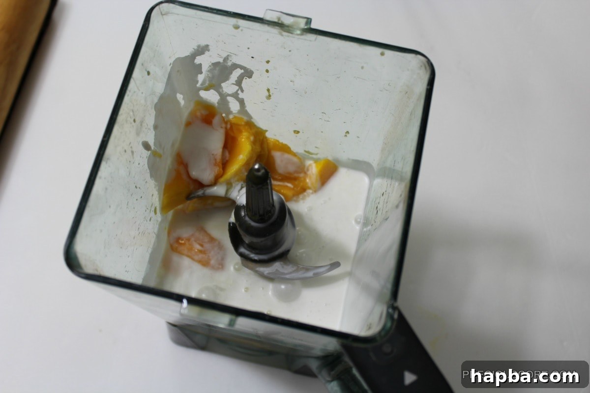 Mango chunks, coconut milk, and honey inside a blender, ready to be processed