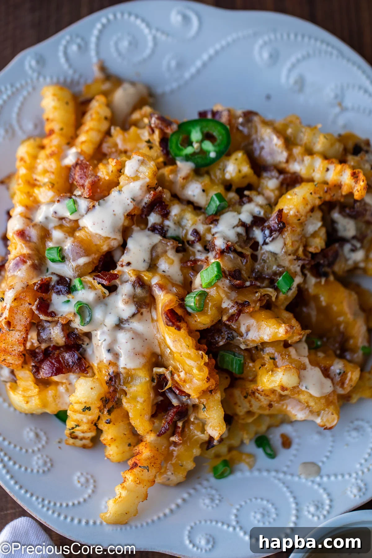 A serving of Loaded French Fries on a white plate, garnished and ready.