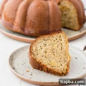 A beautifully presented slice of plantain cake on a speckled plate, tempting with its rich texture and natural sweetness.