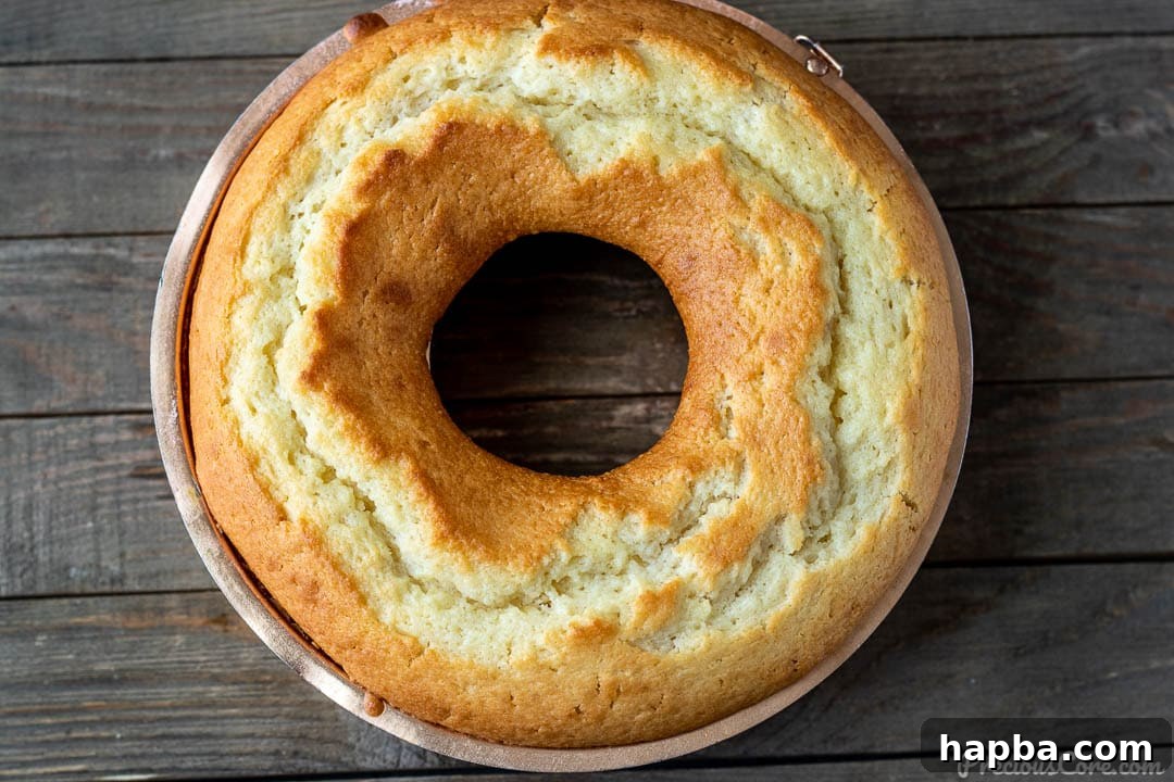 Velvet Yogurt Cake 5 A freshly baked yogurt cake still in its baking pan, showing a perfect golden crust.