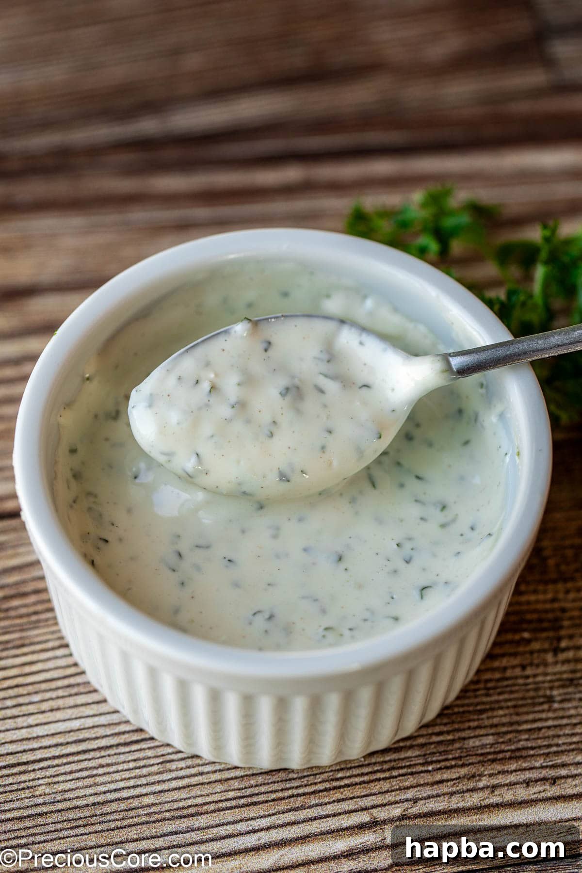 Ramekin with fresh shawarma white sauce.