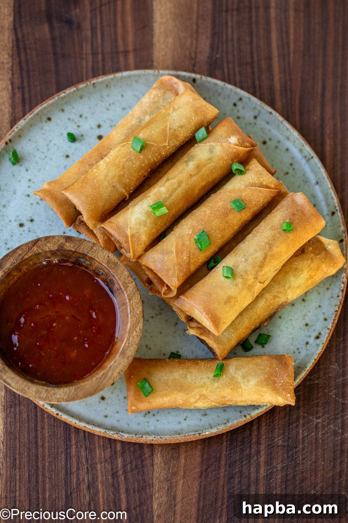 Chinese Spring Rolls on a plate swerved with sauce.