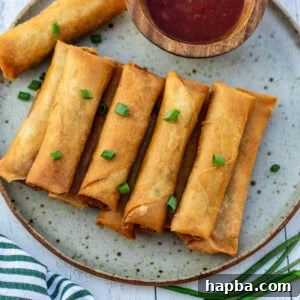 Plated crispy spring rolls.