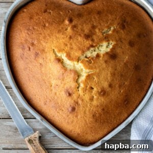 A freshly baked plain cake accompanied by a knife, symbolizing ease of serving.
