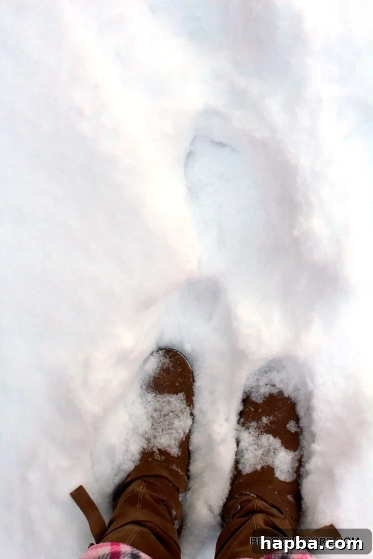 walking-snow
