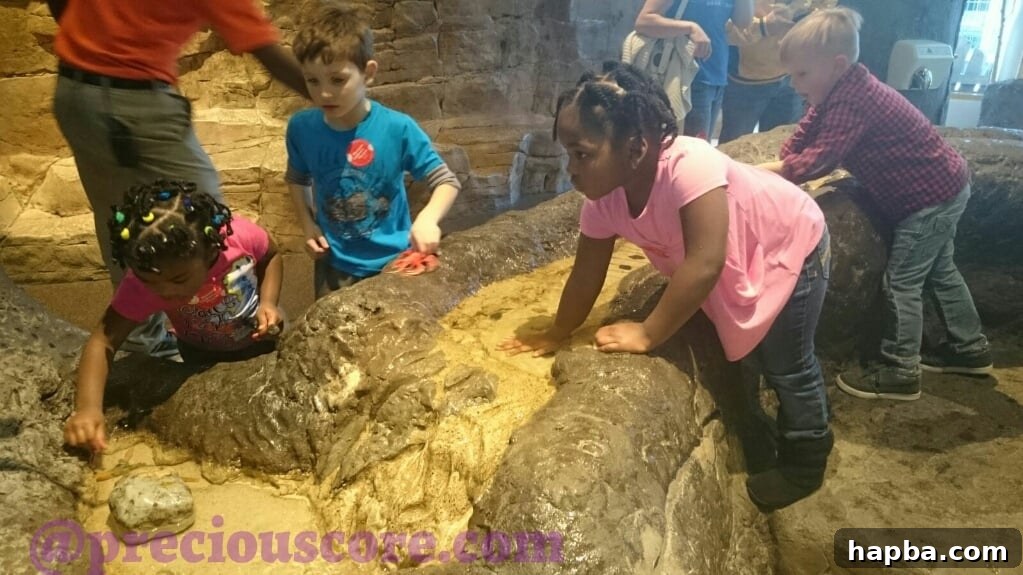 Kids enjoying a hands-on learning activity