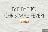 My Christmas Chronicle