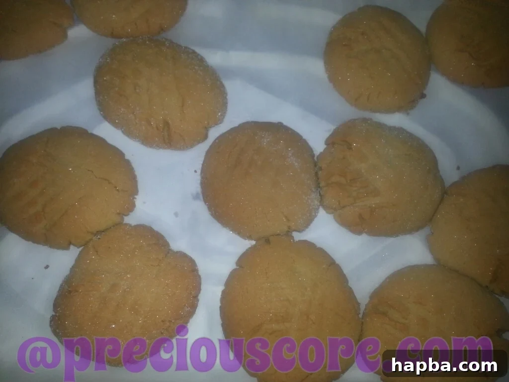 Homemade peanut butter cookies, ready for a bake sale, made by kids.