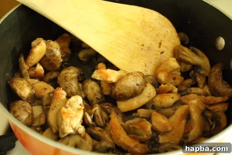 Chicken, mushrooms, garlic, and ginger stir frying together in the pan