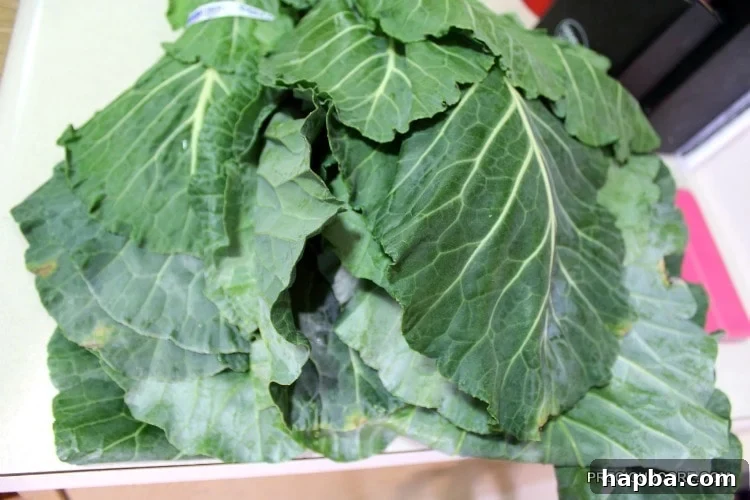 Fresh, vibrant collard greens neatly stacked, prepared for wrapping Ekwang.