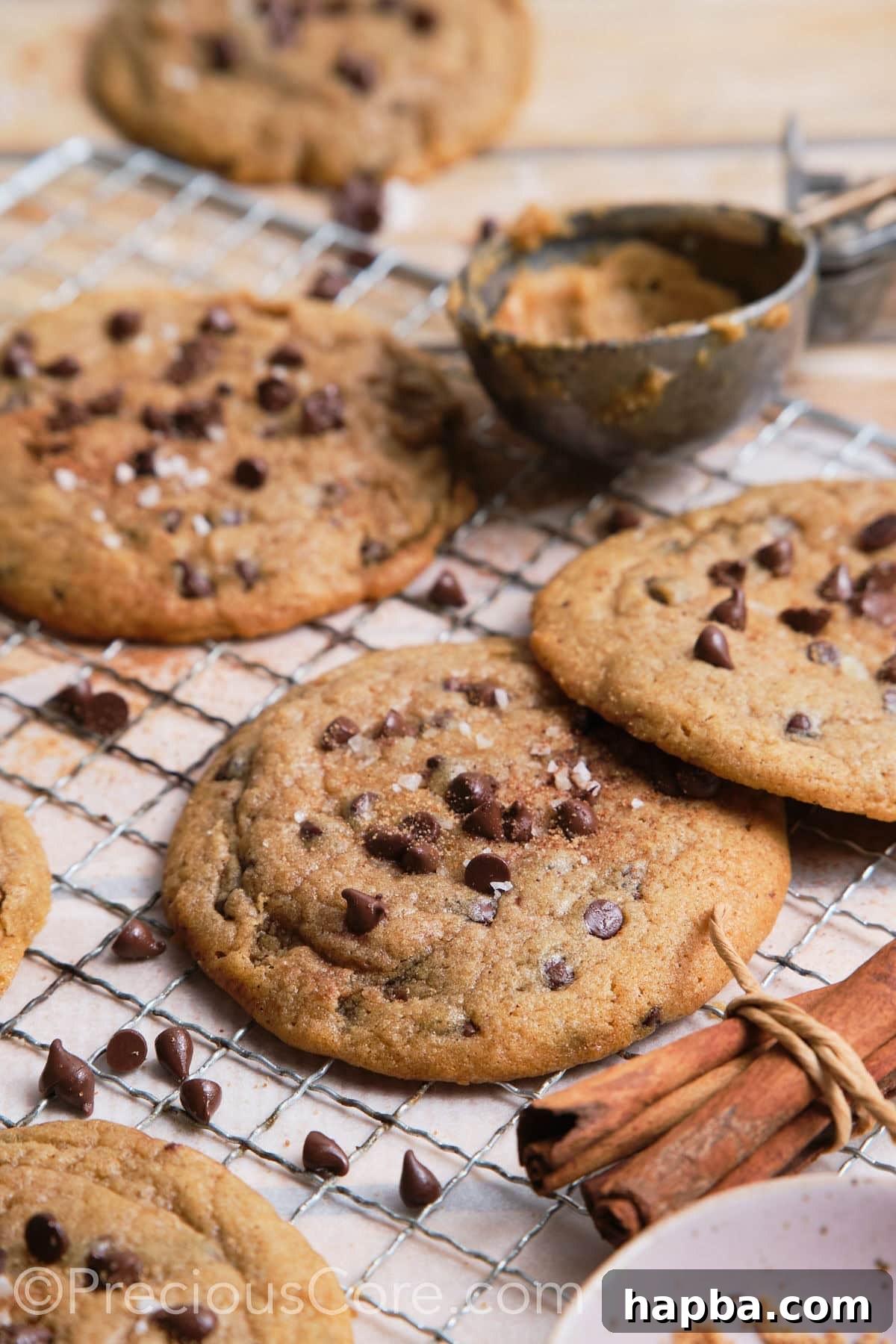 Large cinnamon chocolate chip cookies on an oven rack, cooling.