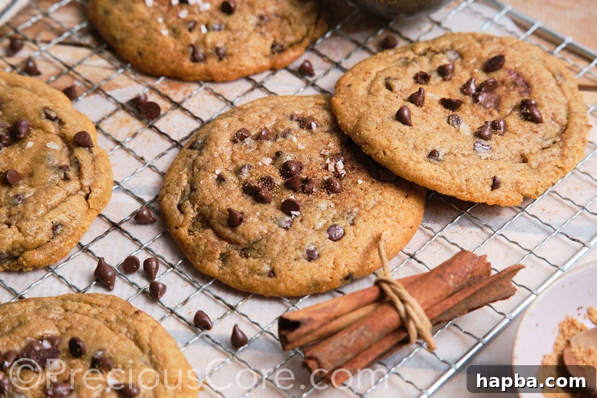 Landscape image showing several large, perfectly baked cookies topped with glistening chocolate chips.