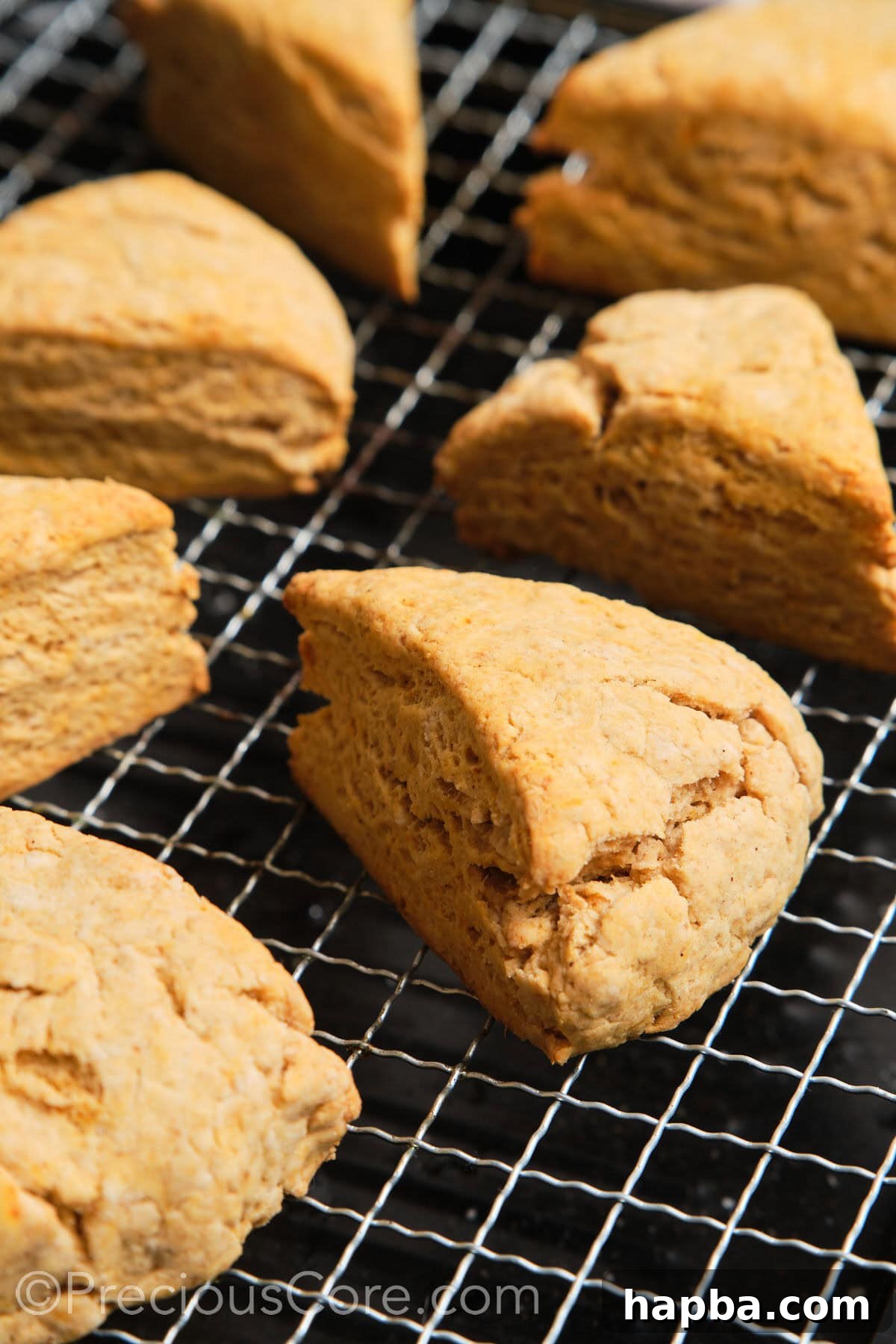 Golden Sweet Potato Scones 17 Sweet potato scones cooling on a wire rack after being baked, awaiting their glaze.