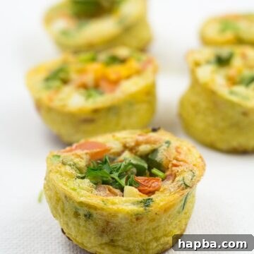 A top-down view of a single breakfast egg muffin, showcasing its golden exterior and visible vegetable pieces.