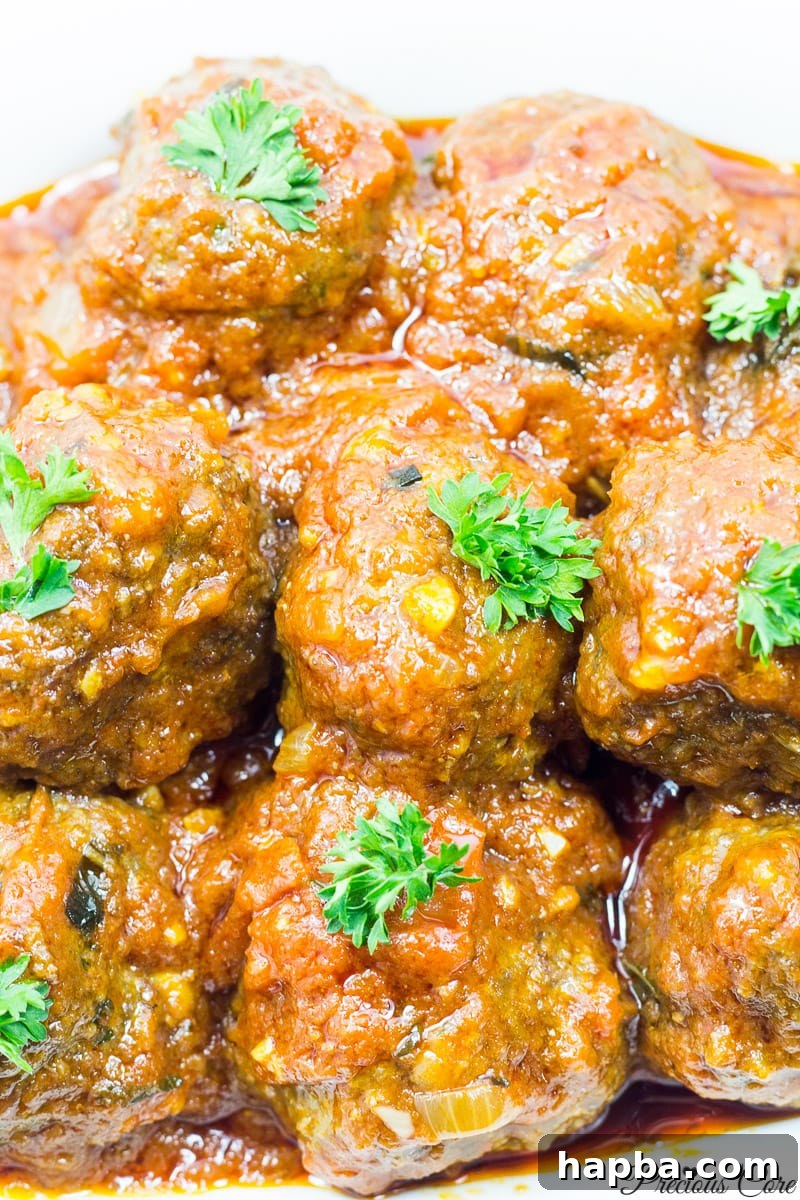 African Spiced Meatballs 14 A stunning presentation of African-style meatballs in tomato sauce, garnished and ready for serving.
