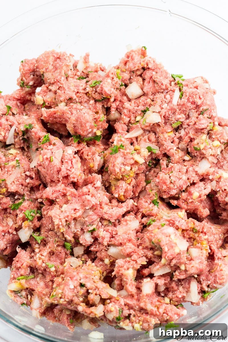 African Spiced Meatballs 5 Well-mixed West African meatball mixture in a bowl.