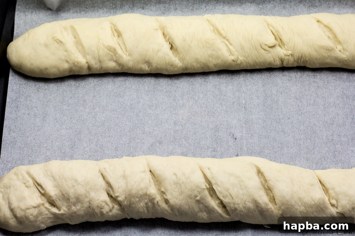 Multiple scored French bread loaves placed on a long baking sheet for their second rise