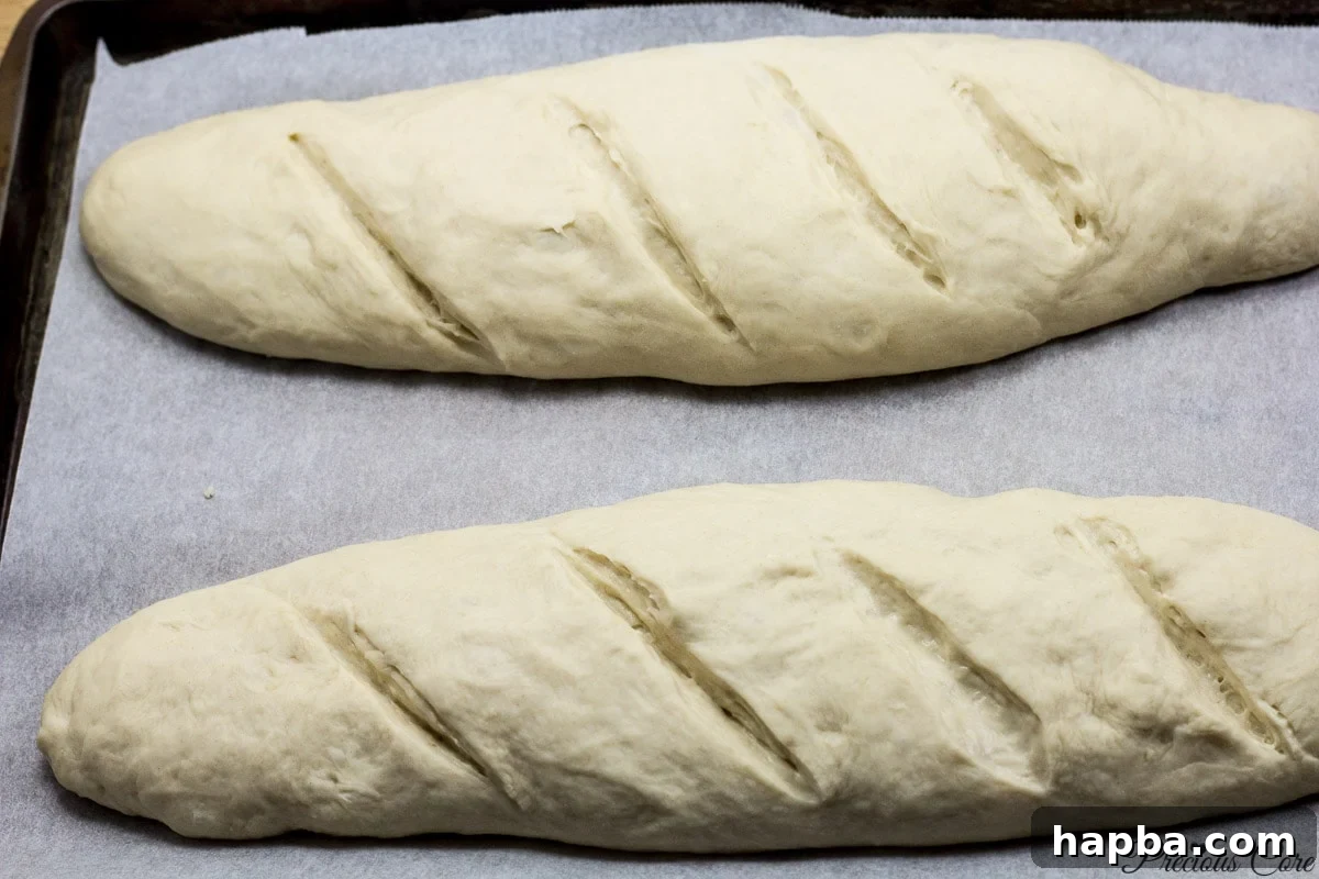 Scored French bread loaves on a shorter baking sheet, ready for the oven after proofing