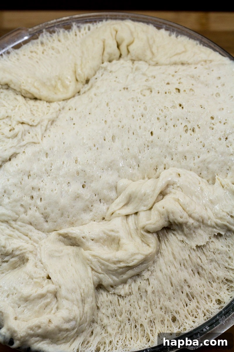 French bread dough after its first rise, beautifully risen and ready for shaping