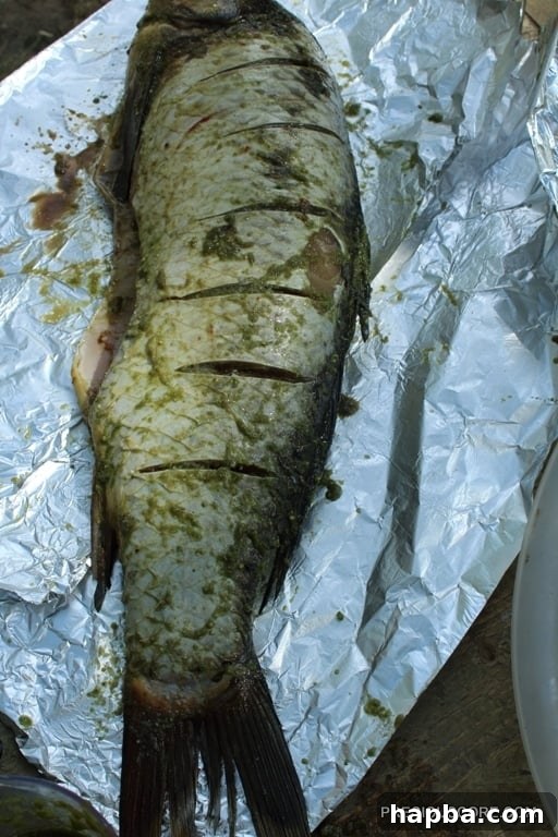 Fish on foil