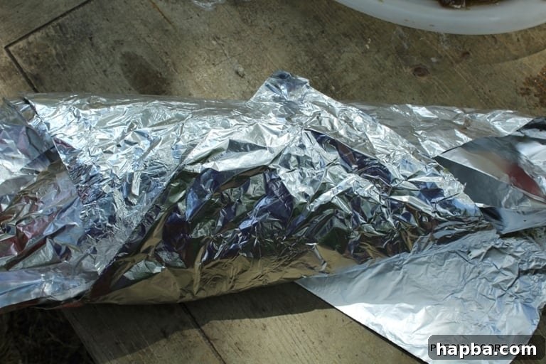 Fish wrapped in foil